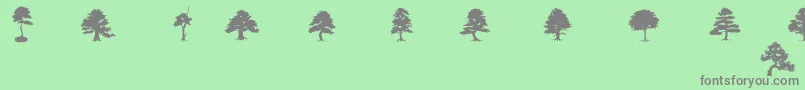 SubiktoTreeBeta Font – Gray Fonts on Green Background