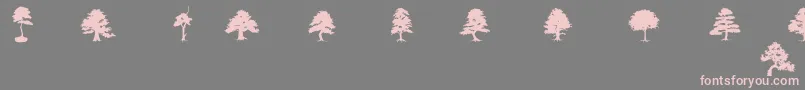 フォントSubiktoTreeBeta – 灰色の背景にピンクのフォント