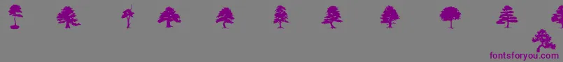 フォントSubiktoTreeBeta – 紫色のフォント、灰色の背景