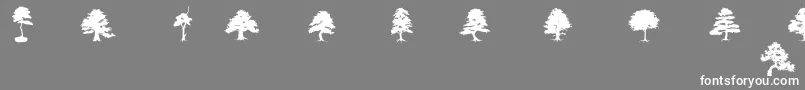 フォントSubiktoTreeBeta – 灰色の背景に白い文字