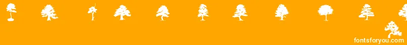 SubiktoTreeBeta Font – White Fonts on Orange Background