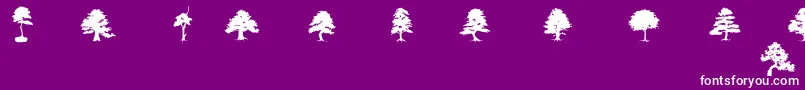 SubiktoTreeBeta Font – White Fonts on Purple Background