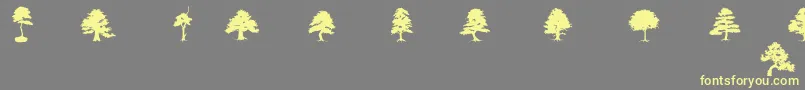 SubiktoTreeBeta Font – Yellow Fonts on Gray Background