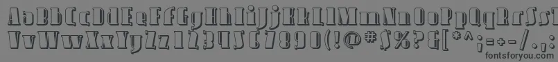 フォントAvondaleShaded – 黒い文字の灰色の背景