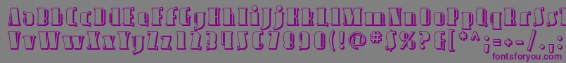 フォントAvondaleShaded – 紫色のフォント、灰色の背景