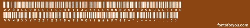 Code3xD Font – White Fonts on Brown Background
