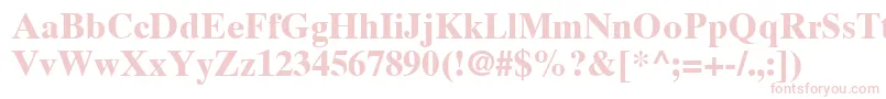 TimesTenCeBold Font – Pink Fonts on White Background