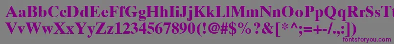 TimesTenCeBold-Schriftart – Violette Schriften auf grauem Hintergrund