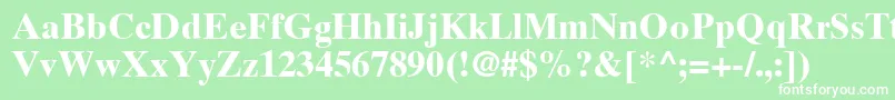TimesTenCeBold Font – White Fonts on Green Background