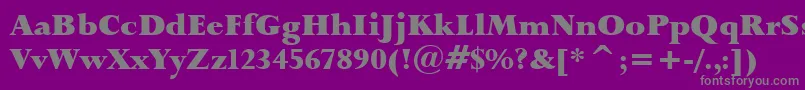 Lapidary333BlackBt Font – Gray Fonts on Purple Background
