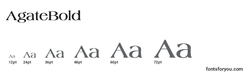 Размеры шрифта AgateBold