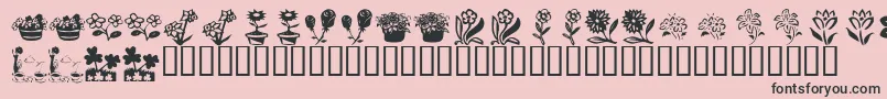 KrKatsFlowers4-Schriftart – Schwarze Schriften auf rosa Hintergrund