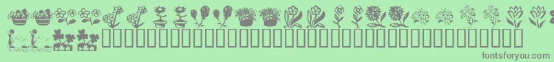 KrKatsFlowers4 Font – Gray Fonts on Green Background