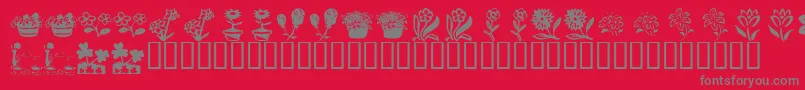 KrKatsFlowers4 Font – Gray Fonts on Red Background