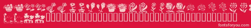 KrKatsFlowers4 Font – Pink Fonts on Red Background