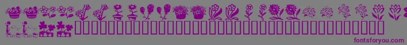 KrKatsFlowers4 Font – Purple Fonts on Gray Background