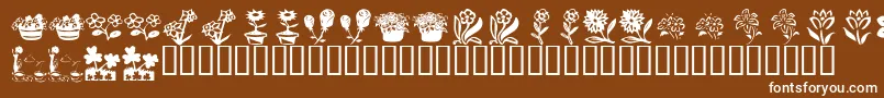 KrKatsFlowers4 Font – White Fonts on Brown Background