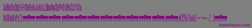 CinematograficaExtralightTrial Font – Purple Fonts on Gray Background