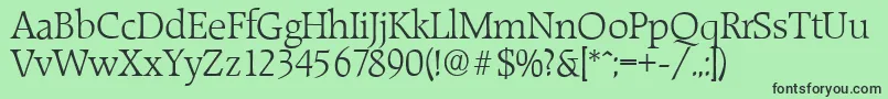 RaleighserialLightRegular Font – Black Fonts on Green Background