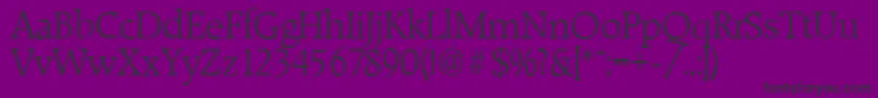 RaleighserialLightRegular Font – Black Fonts on Purple Background