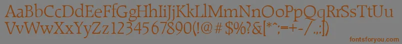RaleighserialLightRegular Font – Brown Fonts on Gray Background