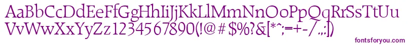 RaleighserialLightRegular Font – Purple Fonts