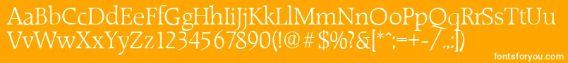 RaleighserialLightRegular Font – White Fonts on Orange Background