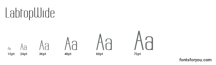 LabtopWide Font Sizes