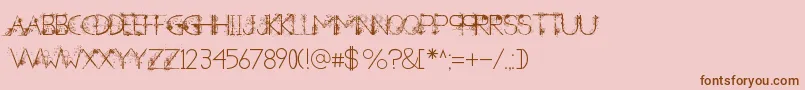 ANewHeardDecorative Font – Brown Fonts on Pink Background