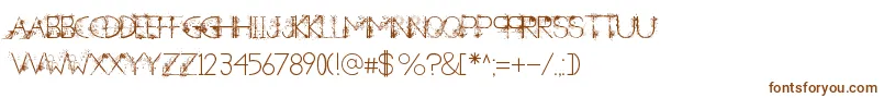 ANewHeardDecorative Font – Brown Fonts