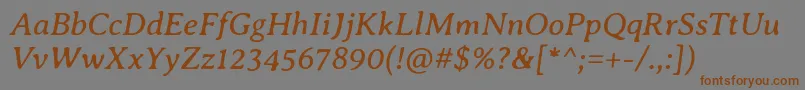 フォントAveriaseriflibreItalic – 茶色の文字が灰色の背景にあります。