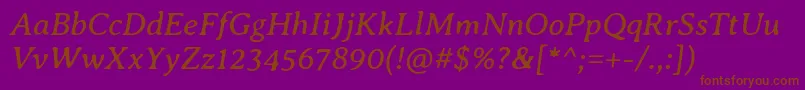 AveriaseriflibreItalic Font – Brown Fonts on Purple Background