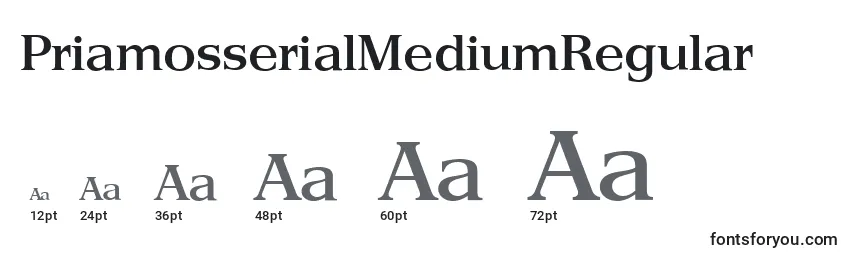 PriamosserialMediumRegular Font Sizes