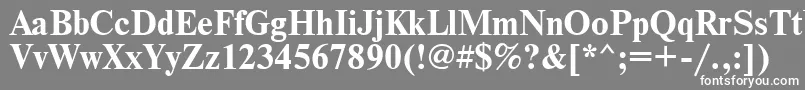 NewtonBold Font – White Fonts on Gray Background
