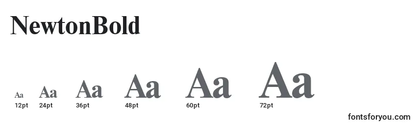 NewtonBold Font Sizes