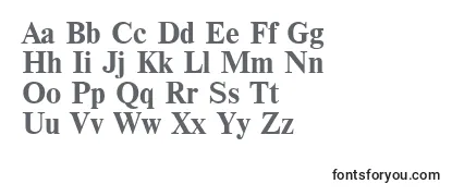 NewtonBold-fontti