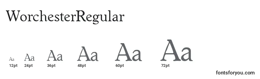 WorchesterRegular Font Sizes