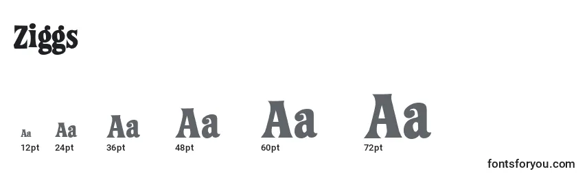 Ziggs Font Sizes
