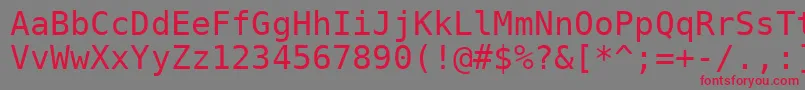 Шрифт Dejavusansmono – красные шрифты на сером фоне