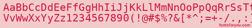 フォントDejavusansmono – ピンクの背景に赤い文字