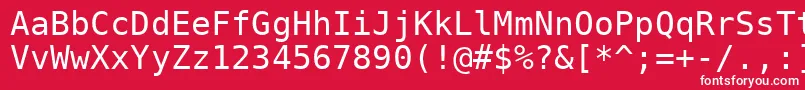 フォントDejavusansmono – 赤い背景に白い文字