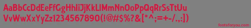 Collegiate Font – Red Fonts on Gray Background