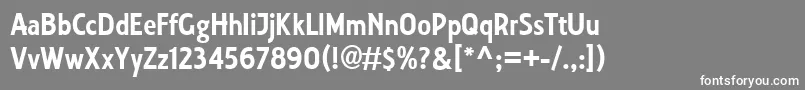 Collegiate Font – White Fonts on Gray Background