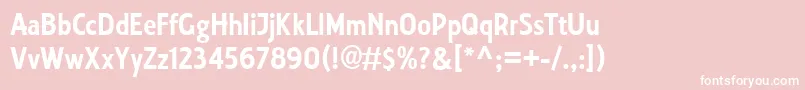 Collegiate Font – White Fonts on Pink Background