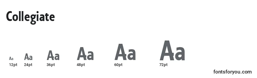 Collegiate Font Sizes