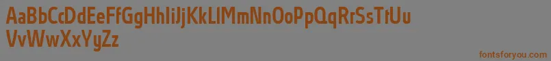 Police AbsolutProMediumcondensed – polices brunes sur fond gris
