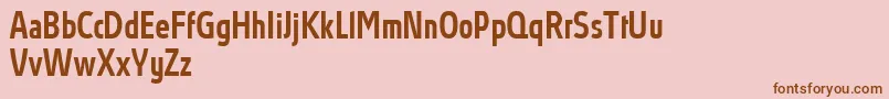 AbsolutProMediumcondensed Font – Brown Fonts on Pink Background