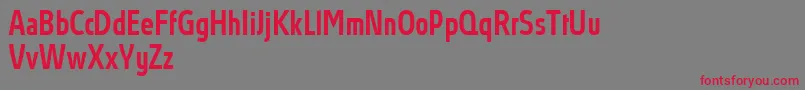 フォントAbsolutProMediumcondensed – 赤い文字の灰色の背景