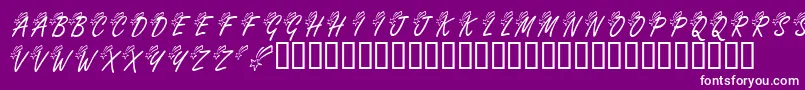 KrShootingStarLeft-Schriftart – Weiße Schriften auf violettem Hintergrund