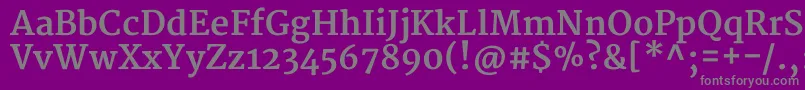 MerriweatherBold-Schriftart – Graue Schriften auf violettem Hintergrund
